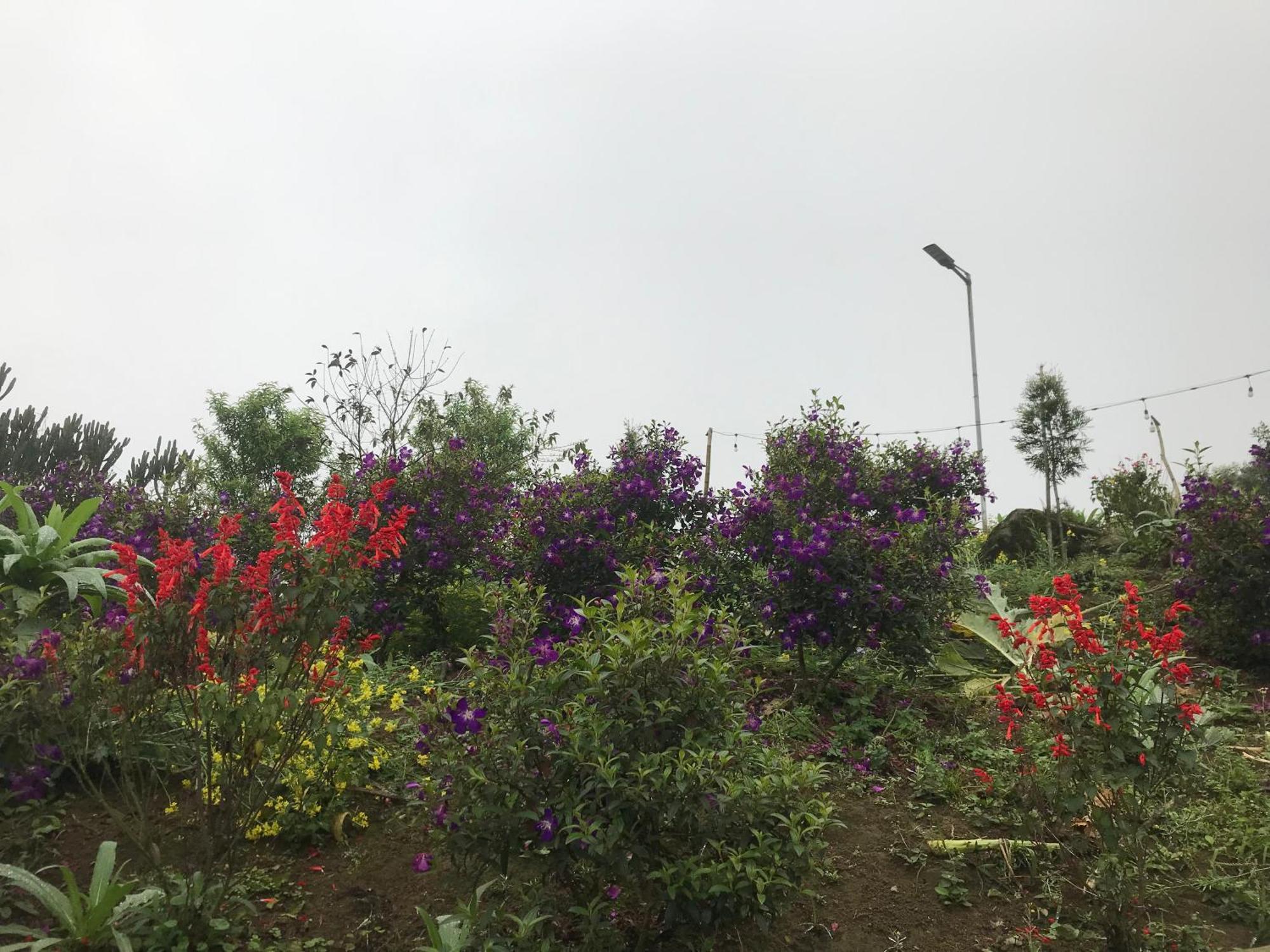 Hotel Sau Meo Mountain View Sapa Exterior foto