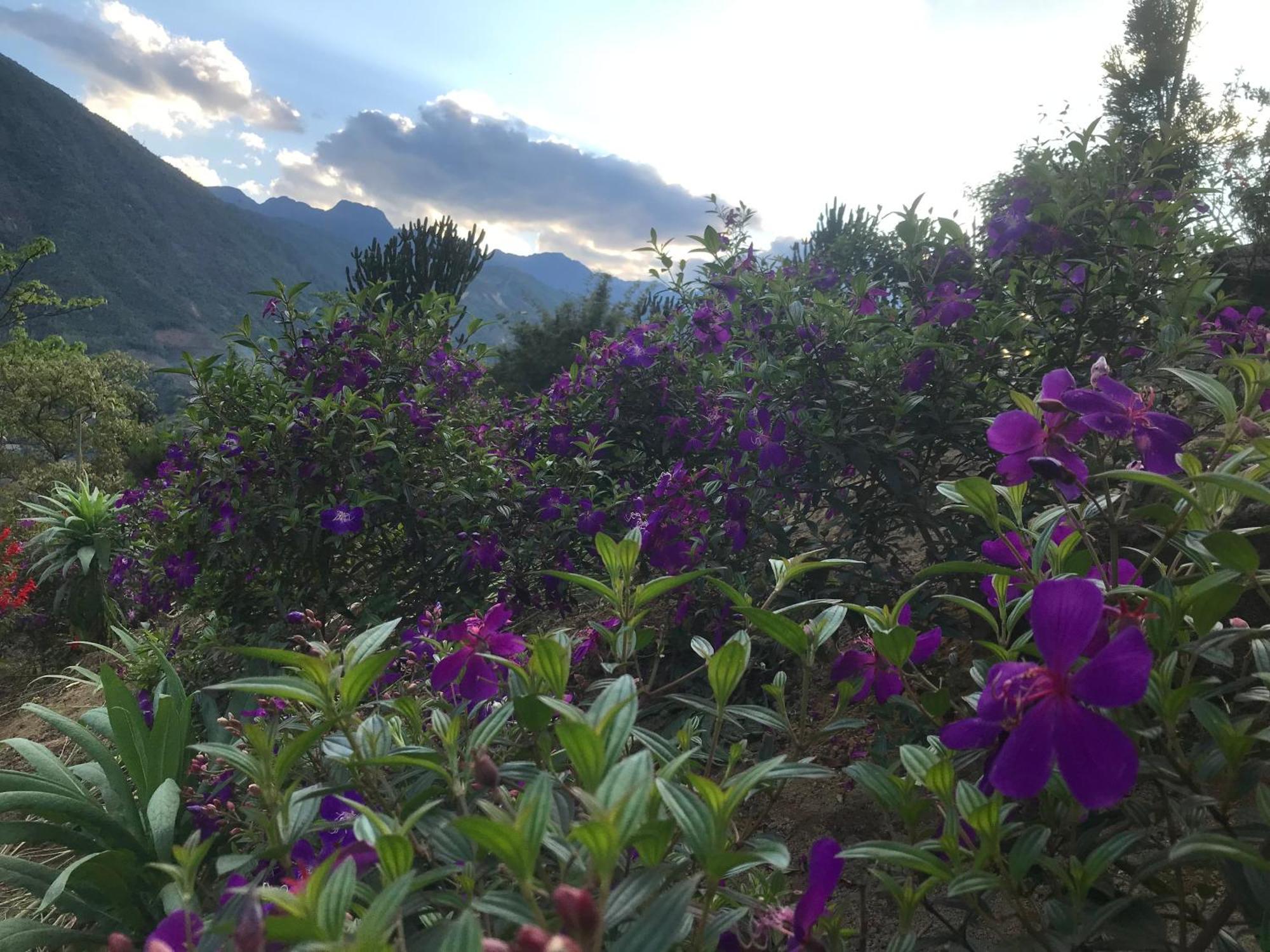 Hotel Sau Meo Mountain View Sapa Exterior foto
